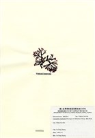 藏品(硬盾果藻)的圖片